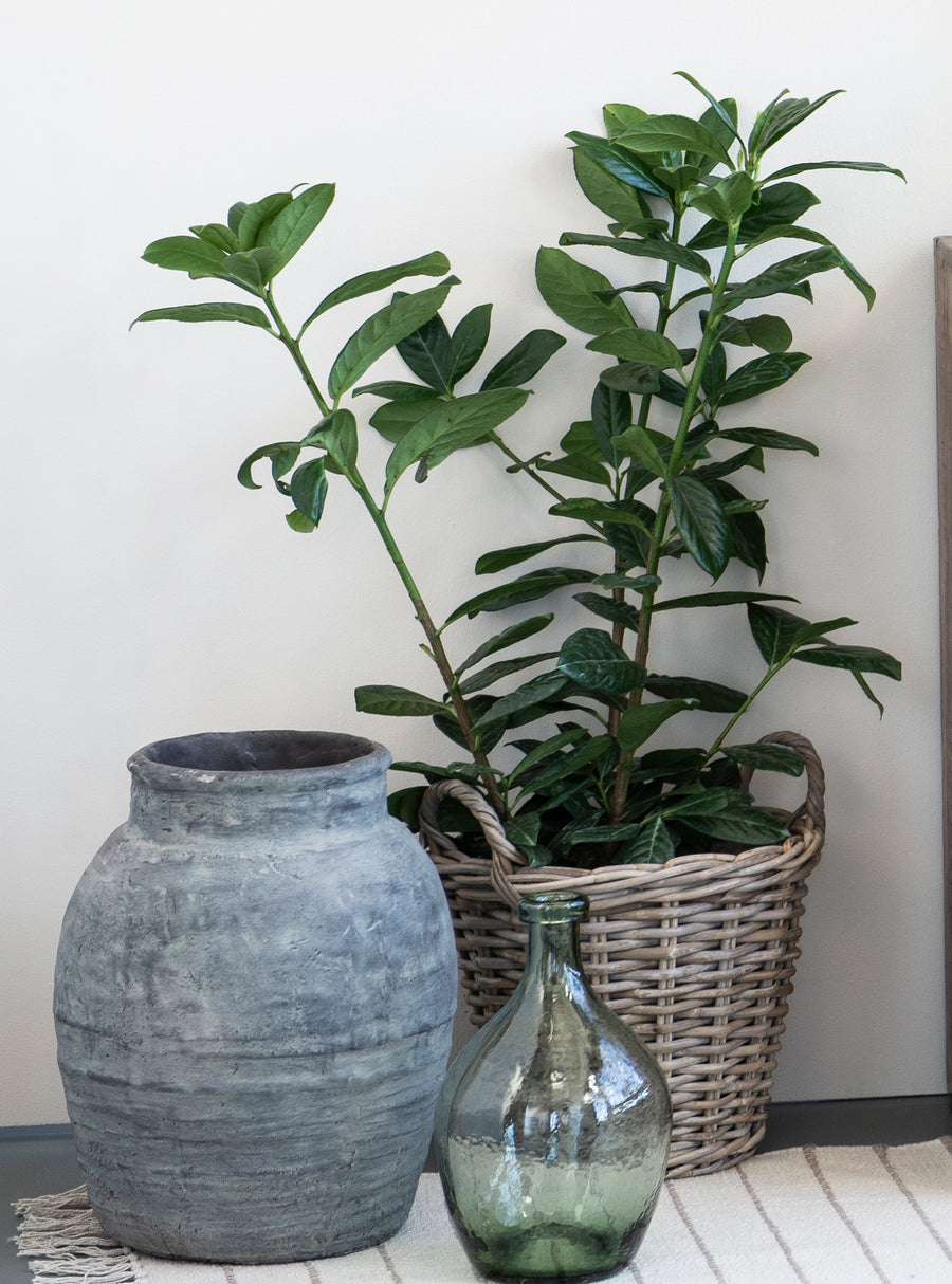 Large grey concrete vase with rattan basket and green glass vase