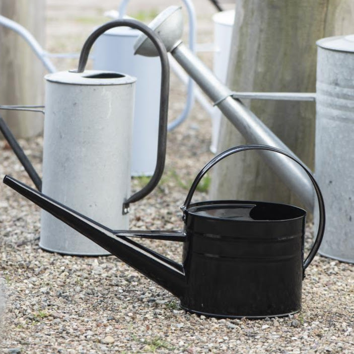 black watering can