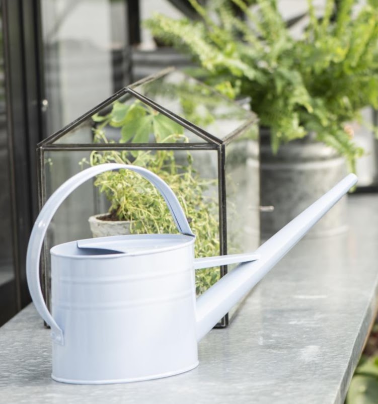 blue watering can