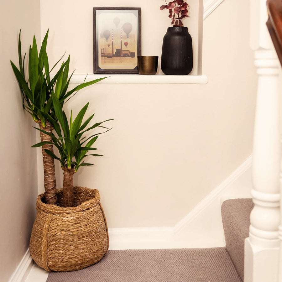 Plant Basket (Set of 2)