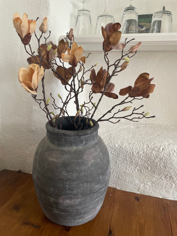 Brown Magnolia Flower