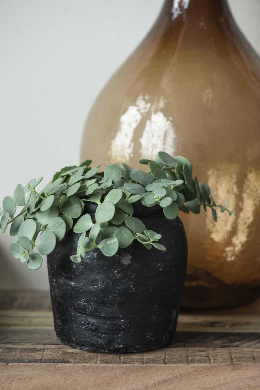 black pot for indoor plant